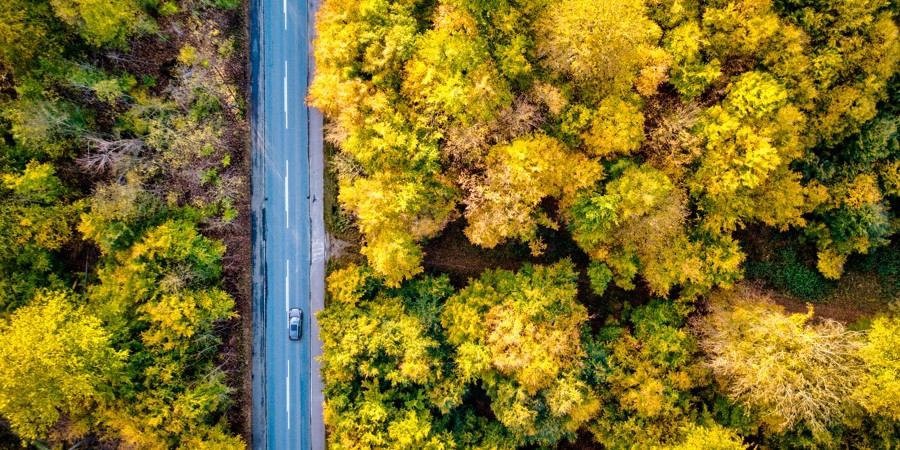 Wagner-Overhead-Shot-of-Car-on-Tree-Lined-Road
